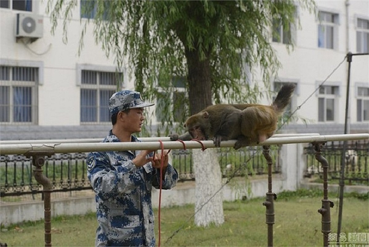 Trung Quóc huán luyẹn cho, khi, dai bang cho duyẹt binh 3/9-Hinh-2